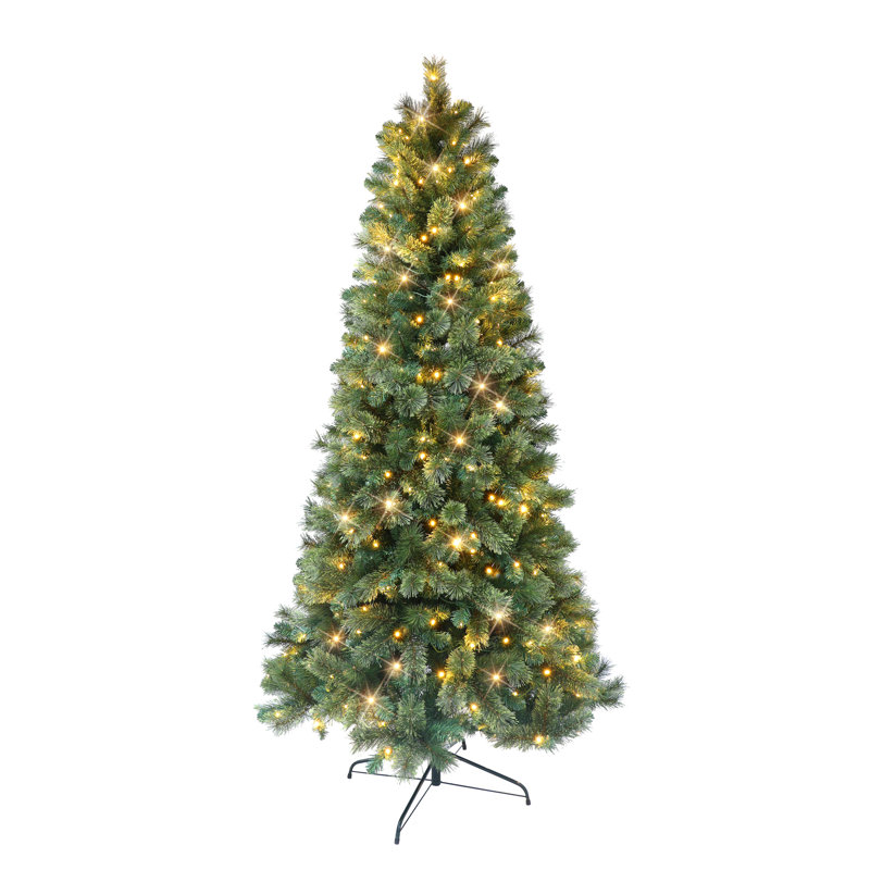 6' Lighted Pine Christmas Tree