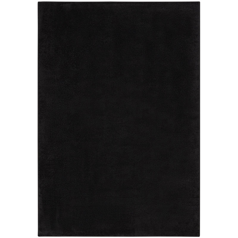 Tapis intérieur / extérieur noir Nourison Essentials, Rectangle de 5 pi x 8 pi