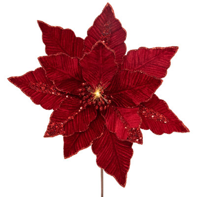 Northlight Seasonal