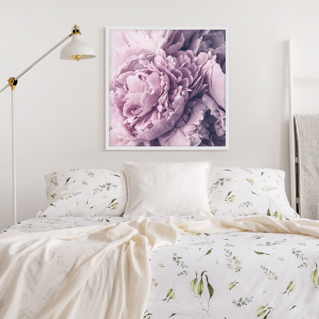 Gerahmtes Poster Lila Pfingstrose Blumen