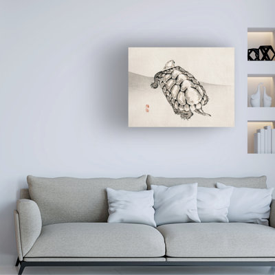 Art sur toile tortue bolologia,