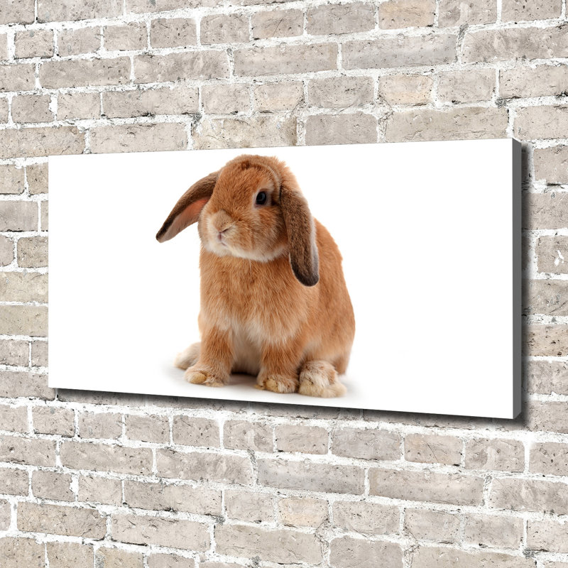 Red-Haired Rabbit - Wrapped Canvas Print