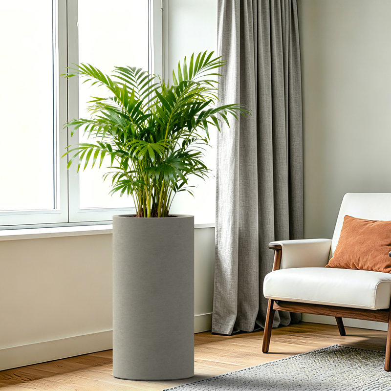 Pot à fleurs en ciment Modern Modern, 27.76" H x 14.17" W x 14.17" D, Warm Gray