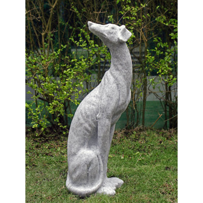 Greyhound Granite