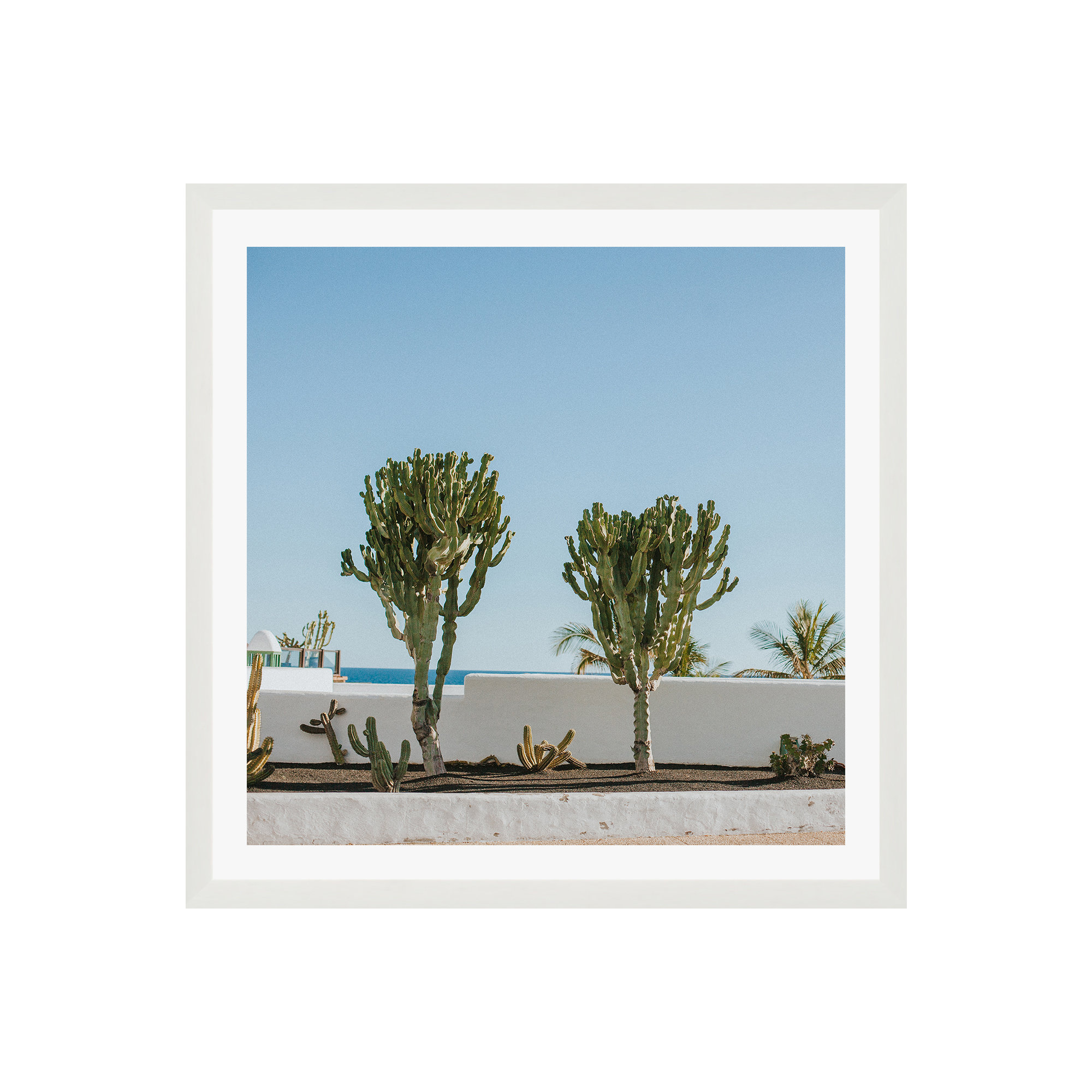 Hello Twiggs Three Cactus by Claudia Casal, No, White Floater Framed, 12" H x 12" W x 2" D