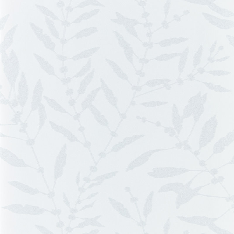 Chaconia Shimmer Pearl