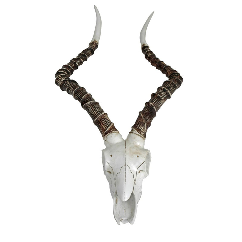 Animals Wall Decor