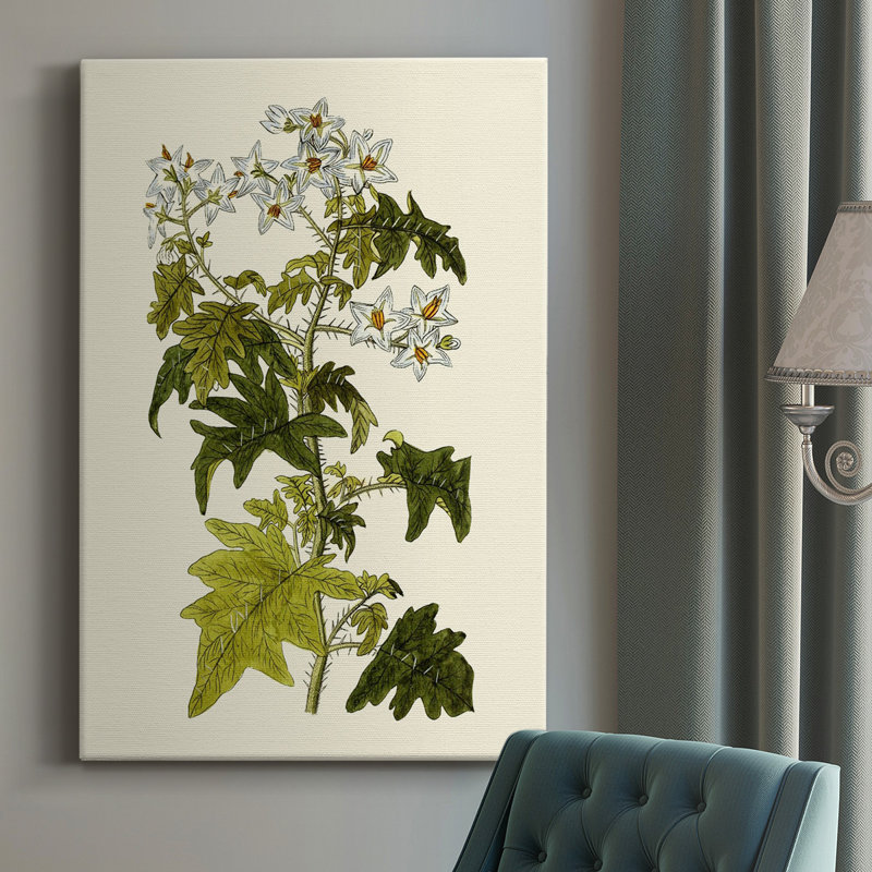Olive Greenery VI - peinture sur toile tendue, H 27 po x l 16 po x P 1,5 po
