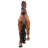 Unbridled Running Mustang Statue
