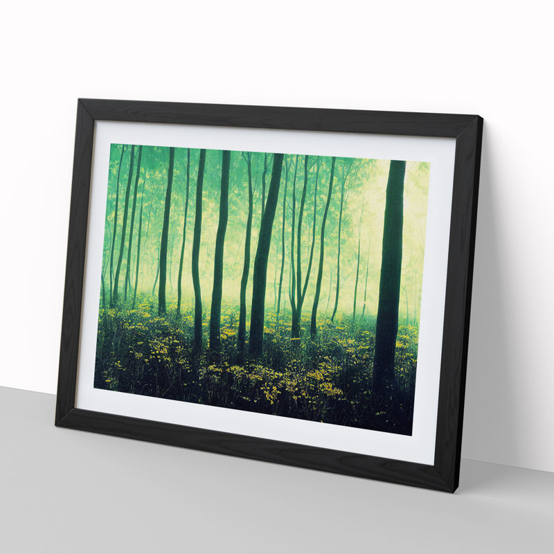Otherworldly Summer Forest - Single Picture Frame Print, 46cm H x 64cm W x 2cm D, Black