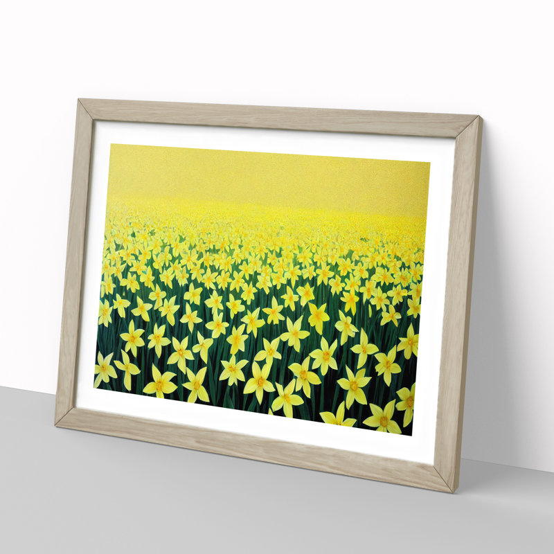 Daffodil Field - Single Picture Frame Print, 25cm H x 34cm W x 2cm D, Oak