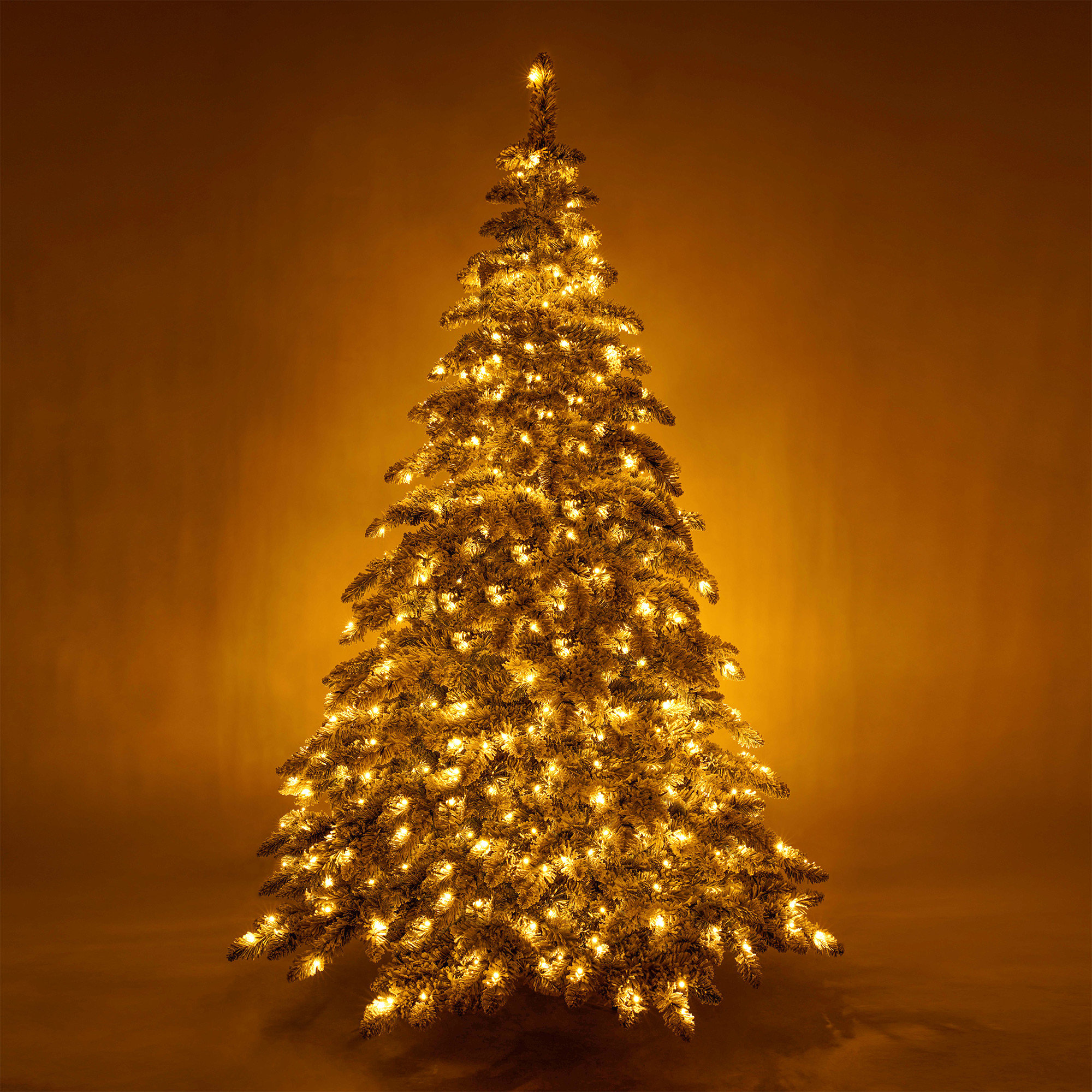 https://assets.wfcdn.com/im/25890506/compr-r85/2564/256420368/90-lighted-christmas-tree.jpg