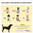 Pet Bed,Elevated Portable Dog Cot