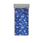 Bleu doux, gris pâle/ floral