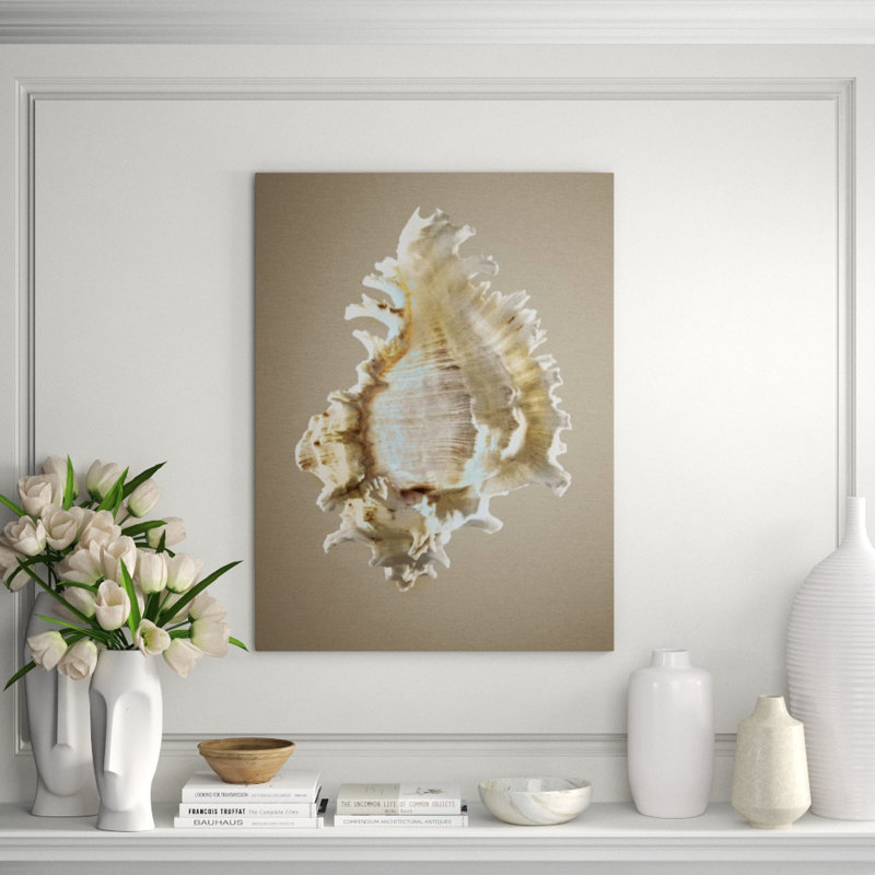 Shells On Champagne I Print by Sofia Fox, Glass Coat, 40" H x 30" W x 1.5" D