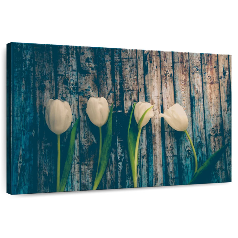Tulipes blanches immaculées Harnek