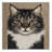 Washable American Wirehair Cats Area Rug-1401086969
