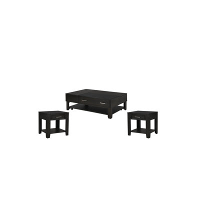 Dhia 3 Piece Ash Gray Wooden Lift Top Coffee And End Table Set -  Wildon HomeÂ®, C9D0114B2A994E65828D8B8A8D583438