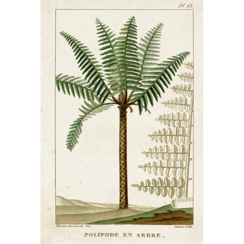 Exotic Palms III 1 Piece Wrapped Canvas Wall Art, 30cm H x 20cm W x 3.8cm D