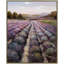 Lavender Fields Forever Print-49510722