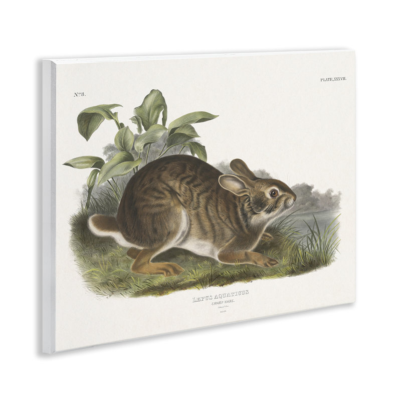 Art mural rétro "Vintage Hare Cottage" par Wild Apple Portfolio