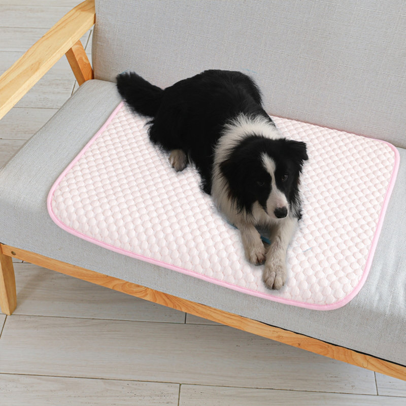 Tapis de refroidissement pour chien Summer Cool, H 23,6 po x l 31,5 po x P 0,93 po, Rose