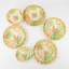 Dinnerware Set S16, Bird Of Paradise