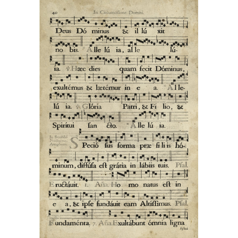 Vellum Songbook II - Wrapped Canvas Print, 30cm H x 20cm W x 3.8cm D