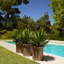 Concrete Planter