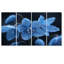 «Blue Grey Frozen Tears Snowdrop», ensemble d'art mural sur toile-341147771