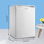 Garden Sanctuary Mini Fridge