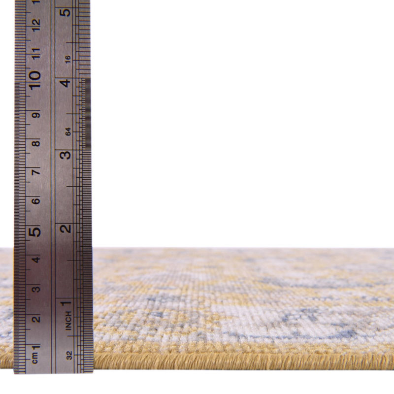 Denena Oriental Indoor Rug, Runner 2'7" x 12'