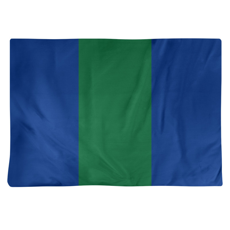 Récapitulatif 18" à rayures de football Seattle, Bleu / Vert