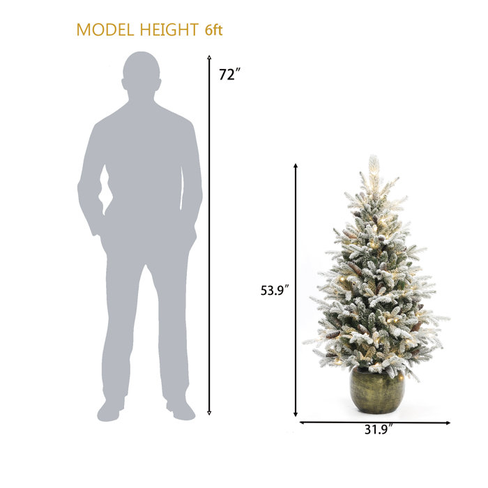The Holiday Aisle® 53.9'' Lighted Pine Christmas Tree & Reviews | Wayfair