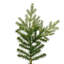 6.5' H Lighted Artificial Pine Christmas Tree