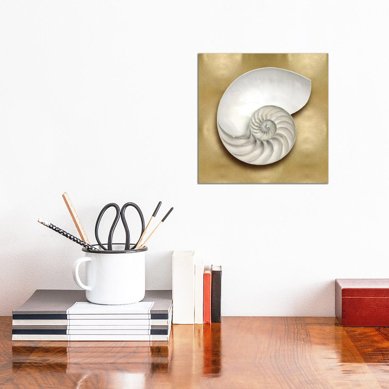 Shell On Gold II by Caroline Kelly - Wrapped Canvas Painting, 30.48 cm H x 30.48 cm W