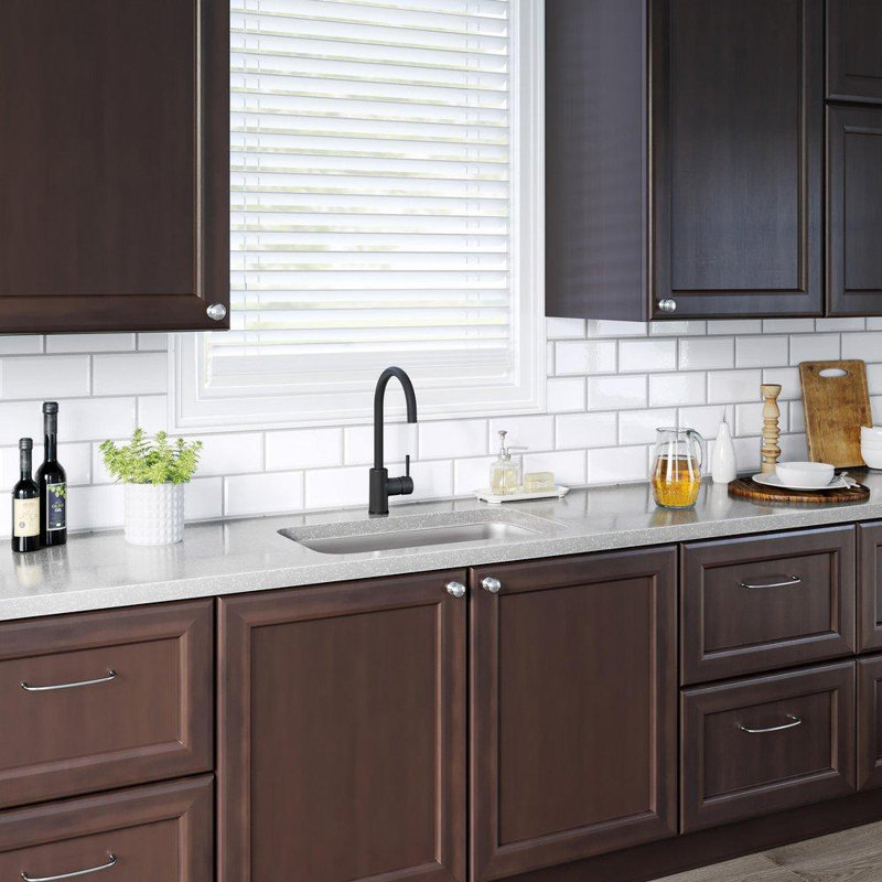 Proflo Kitchen Faucet, Matte Black