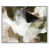 White Frame n'est pas disponible