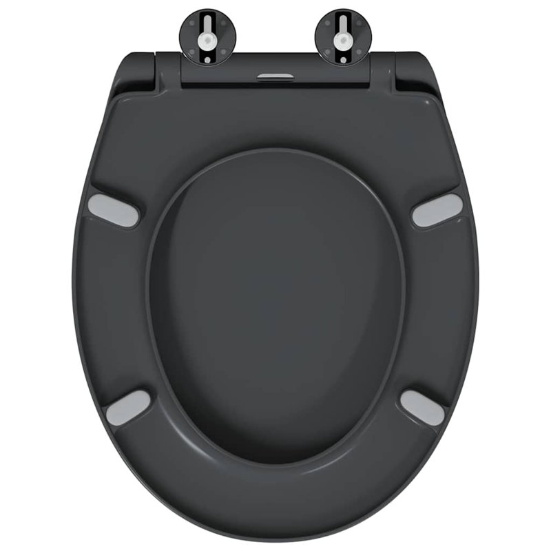 Toilet Seat Duroplast Bathroom Fixture Modern Indoor Home Renovation