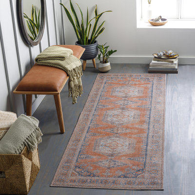 Colin Machine Washable Traditionnal Boho Area Rug