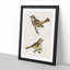 Chiffchaff & Sparrow by Von Wright - Picture Frame Painting Print-55536158-55536157