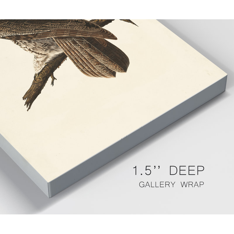 «Pl 351 Great Cinereous Owl», reproduction d'art sur toile tendue, H 36 po x l 24 po x P 1 po