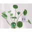 13,39 plante