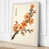 Cream Border