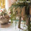 Plante usnea artificielle-1023420031