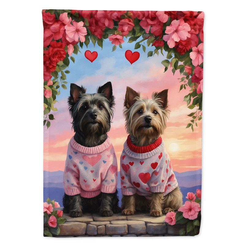 Double Sided 40'' H x 28'' W Polyester Valentine's Day House Flag