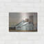 «Jonestown Sunrise» par Lori Deiter-27770249
