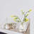 Faux Plants 11 " H Faux Bonsai and Ficus Branch in Glass Pot