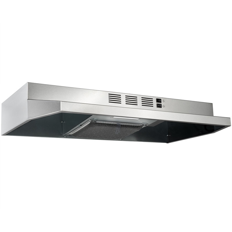 Hotte de cuisine 24 pouces en acier inoxydable 176 CFM avec filtre à charbon