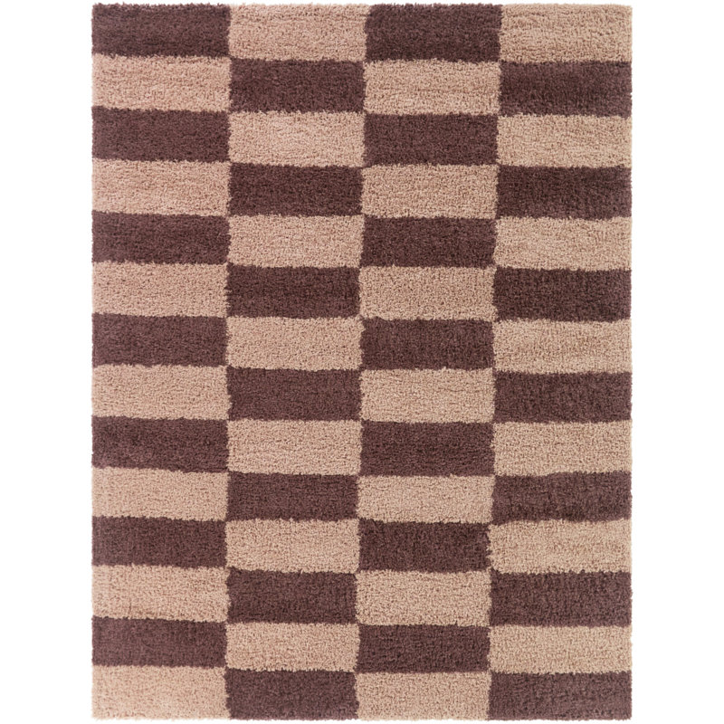 Dixon Beige/Brown Checkered Shag Area Rug, Rectangle 5'3" x 7'